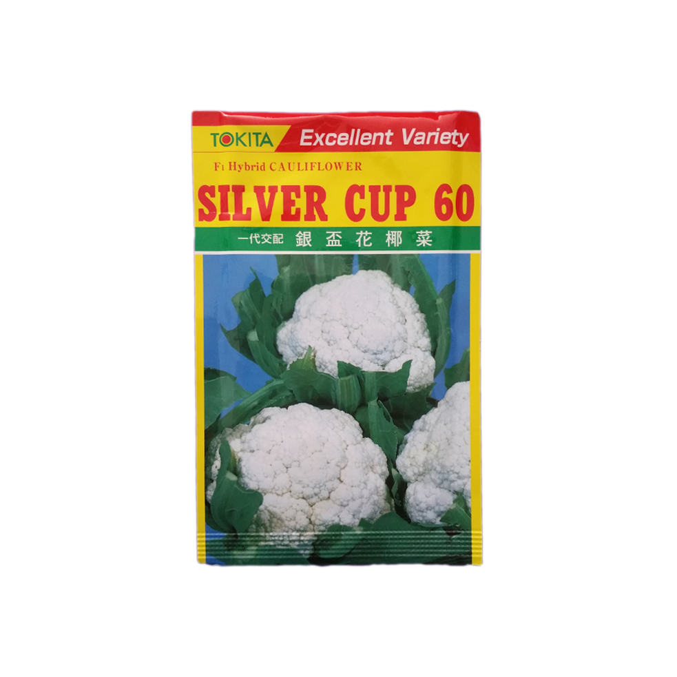 Cauliflower_SilverCup (Fulkopi ko Biu)